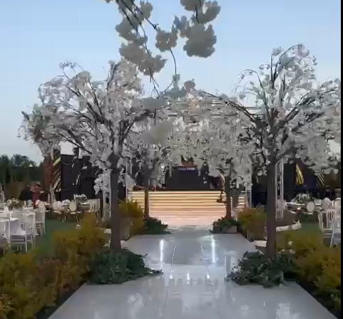 صورة الخدمة